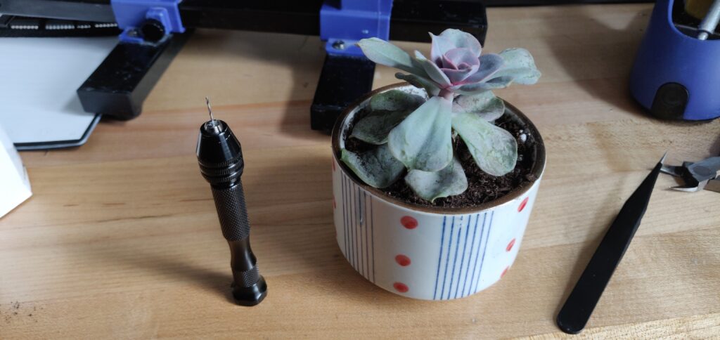Pin Vise and Succulent